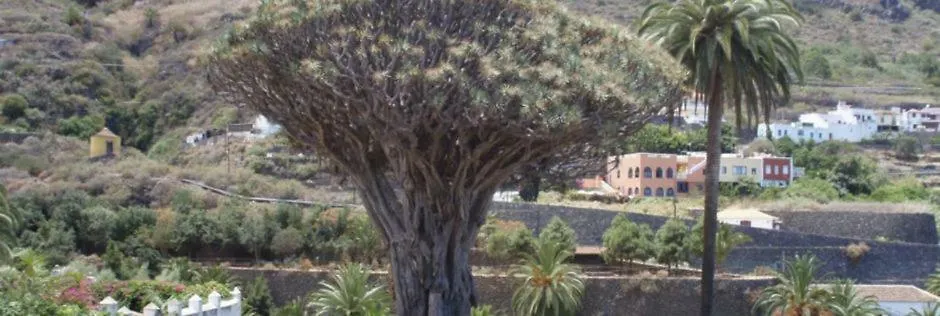 Stunning Views At Tenerife Tacoronte 0*,  Spanien